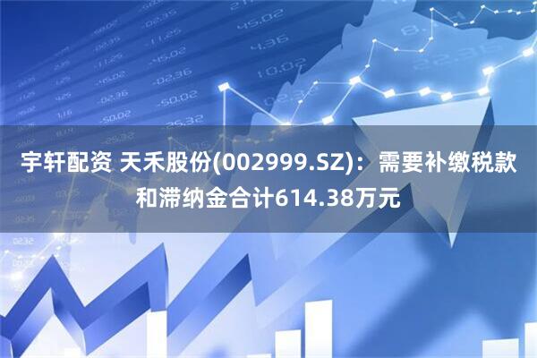 宇轩配资 天禾股份(002999.SZ)：需要补缴税款和滞纳金合计614.38万元