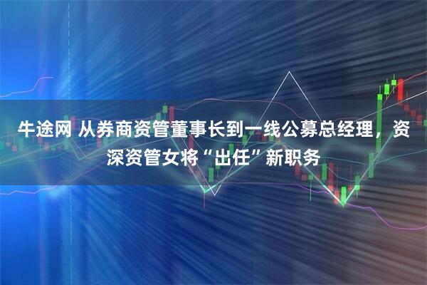 牛途网 从券商资管董事长到一线公募总经理，资深资管女将“出任”新职务